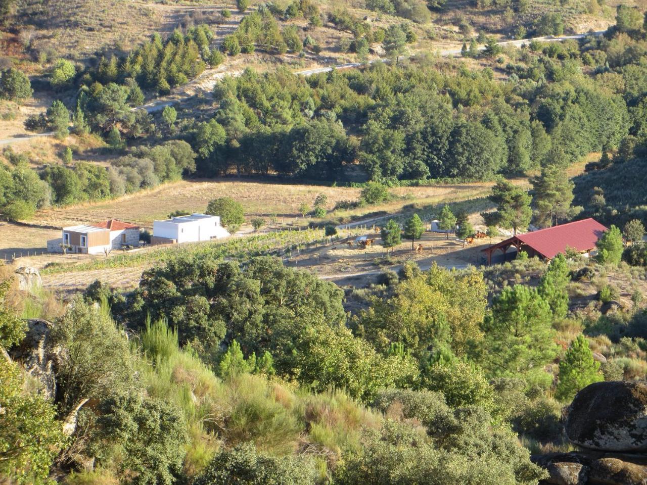 Quinta Vale Da Prata Séjour à la ferme Celorico Da Beira